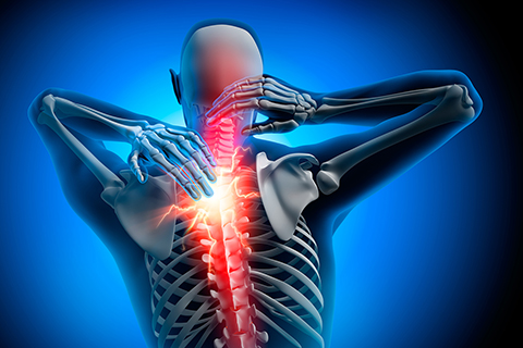 Physical Therapy Miami, FL - Back & Neck Pain Treatment